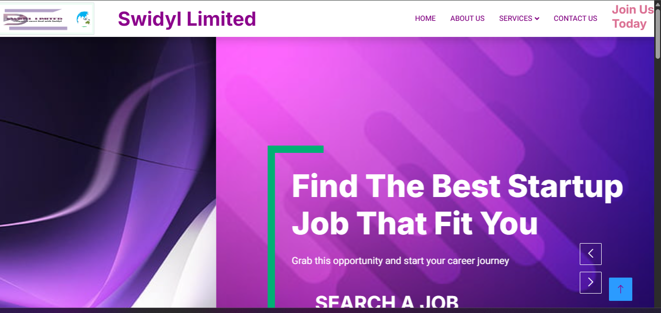 Screenshot of the Swidyl website